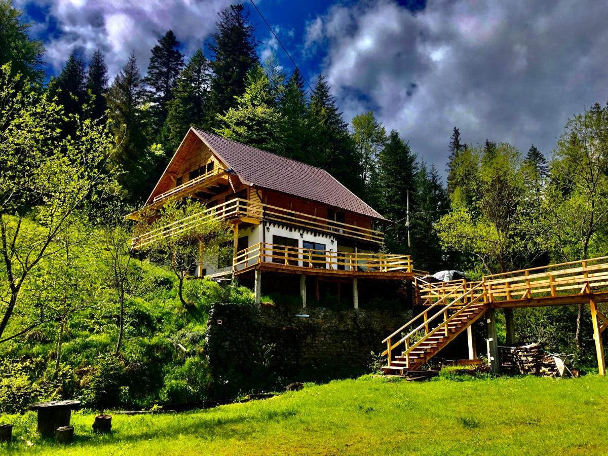 Cabana Cota 1000 Arieşeni Exterior foto