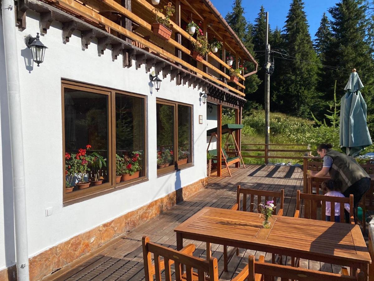 Cabana Cota 1000 Arieşeni Exterior foto